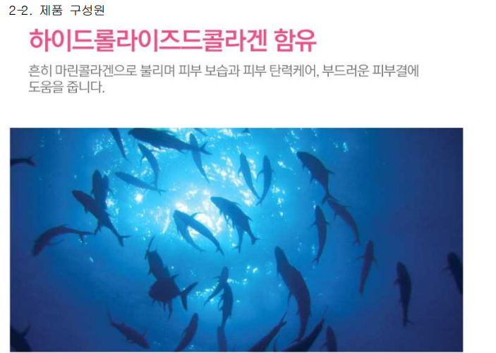 화면 캡처 2025-03-01 173416.png